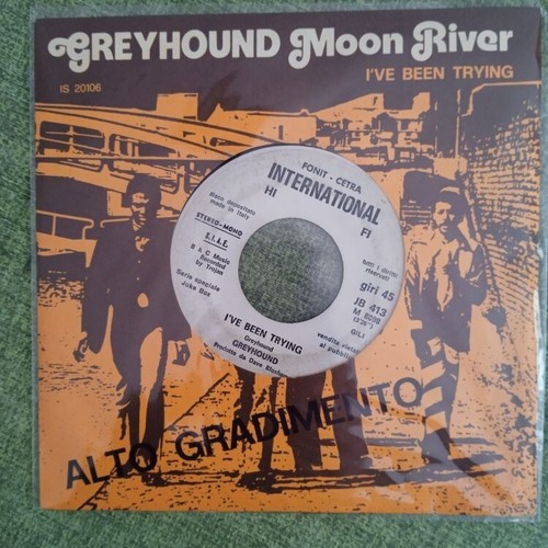 Greyhound gruppo 2001 72 - gruppo,