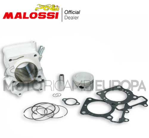 Malossi 3111588 gruppo termico - 3111588,